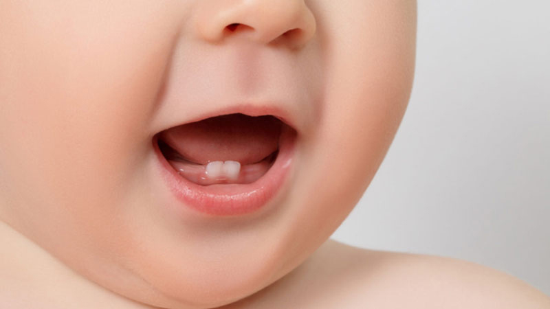 Trẻ từ 6 - 8 tháng tuổi sẽ bắt đầu mọc răng