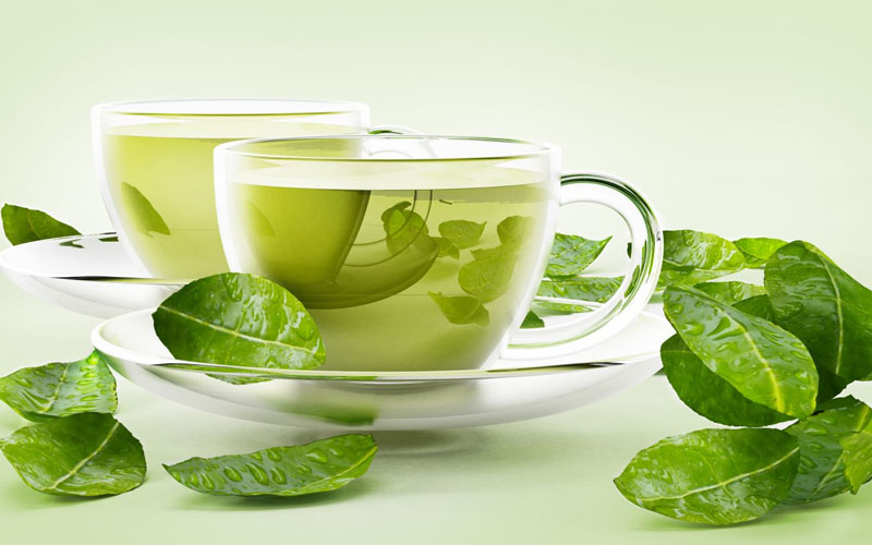 Các hoạt chất trong lá trà xanh có khả năng sát khuẩn tự nhiên