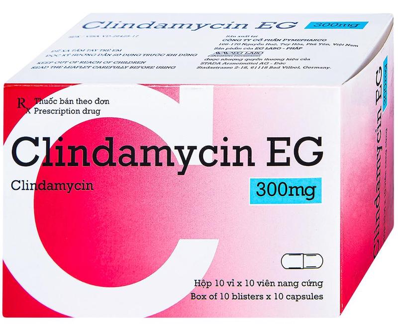 Clindamycin là kháng sinh hoạt động dựa trên sự ức chế tổng hợp protein của vi khuẩn