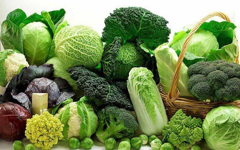 Nhiệt miệng nên ăn nhiều rau xanh