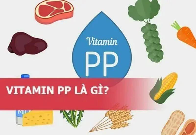 Vitamin PP có vai trò rất quan trọng đối với cơ thể