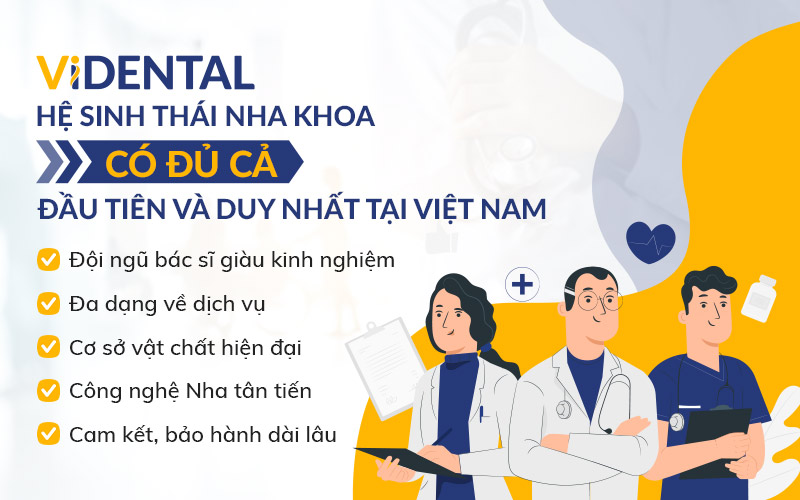 Vidental là đơn vị nha khoa úy tín cung cấp dịch vụ chăm sóc sức khỏe răng miệng toàn diện nhất
