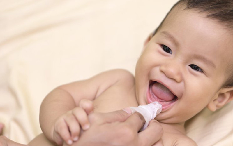 Cha mẹ cần vệ sinh khoang miệng của bé sạch sẽ để ngăn chặn vi khuẩn xâm nhập và gây bệnh