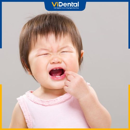 Trẻ mọc răng khi bước vào giai đoạn 6 tháng tuổi đến 2 tuổi rưỡi